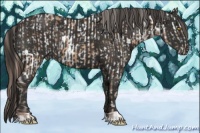 Horse Color:Amber Champagne Appaloosa  and Liver Chestnut 