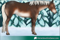Horse Color:Liver Chestnut Mushroom 