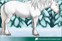 Horse Color:White Spotted Gold Cream Champagne Sabino Varnish Rabicano 