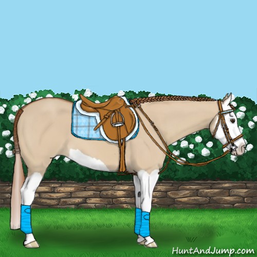 Horse Color:Red Dun Splash 