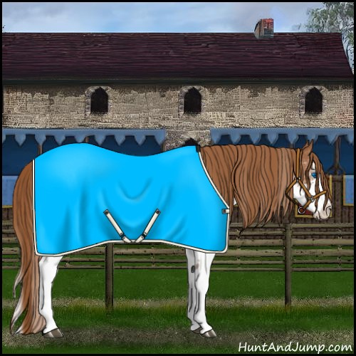 Horse Color:White Spotted Chestnut Splash 