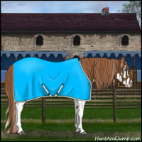 Horse Color:White Spotted Chestnut Splash