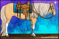 Horse Color:Palomino 