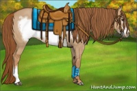 Horse Color:Red Dun Frame 