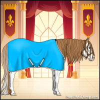 Horse Color:Chestnut Splash 