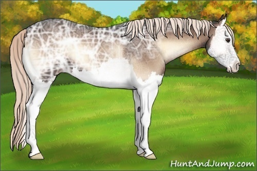 Horse Color:Liver Red Onyx Ice Splash