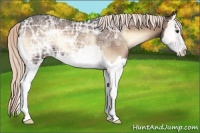 Horse Color:Liver Red Onyx Ice Splash 