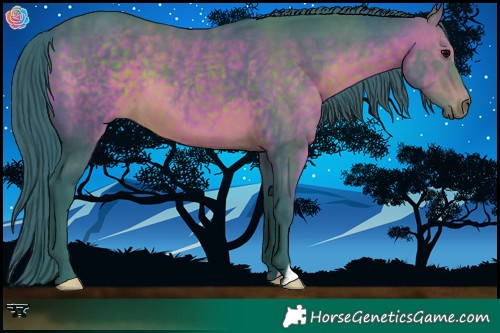 Horse Color:Watercolor Brown 