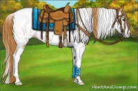 Horse Color:Chestnut Splash Tobiano Appaloosa 
