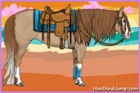 Horse Color:Red Dun Splash 