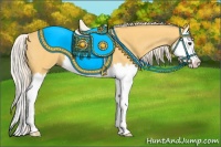 Horse Color:Palomino Splash 