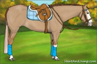 Horse Color:Red Dun Splash 