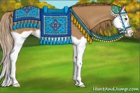 Horse Color:Chestnut Splash Appaloosa 