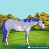 Horse Color:Platinum Watercolor Brown Dun Sabino Varnish 