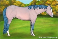 Horse Color:Platinum Watercolor Brown Dun Sabino Appaloosa 