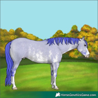 Horse Color:Platinum Watercolor Brown Dun Sabino Varnish 