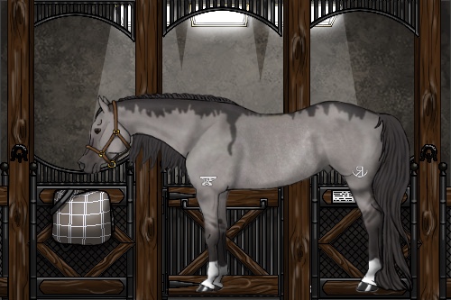 Horse Color:Platinum Smoky Grullo Rabicano 