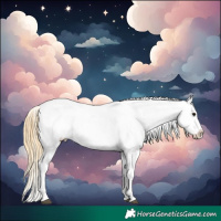 Horse Color:Smoky Black Ice Appaloosa 