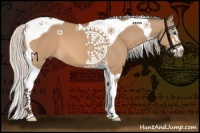 Horse Color:Silver Bay Dun Splash Tobiano 