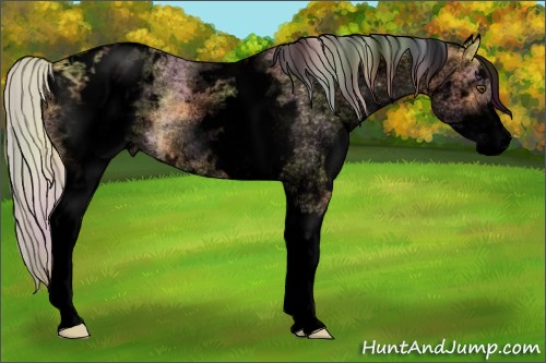 Horse Color:Void Nacre White Spotted Silver Buckskin Dun Blanket Rabicano