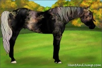 Horse Color:Void Nacre White Spotted Silver Buckskin Dun Blanket Rabicano
