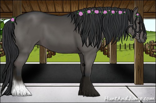 Horse Color:Black Sabino 
