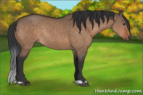 Horse Color:Brown Dun Rabicano 