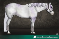 Horse Color:Watercolor White Spotted Silver Brown Ice Roan Onyx 