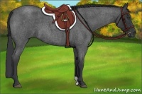 Horse Color:Blue Roan 