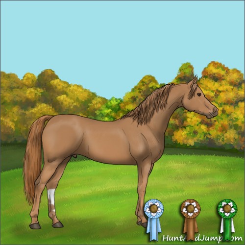 Horse Color:Chestnut 
