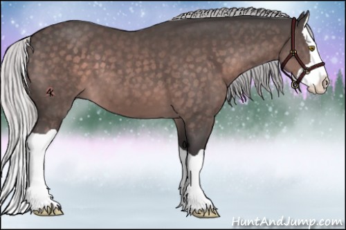 Horse Color:Platinum Silver Brown Splash 