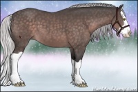 Horse Color:Platinum Silver Brown Splash 