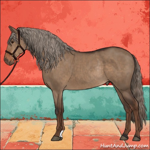 Horse Color:Liver Red Dun Rabicano 