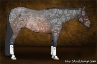 Horse Color:Brown Ice Roan Rabicano 