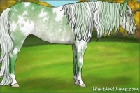 Horse Color:Watercolor White Spotted Silver Black Chinchilla Rabicano 