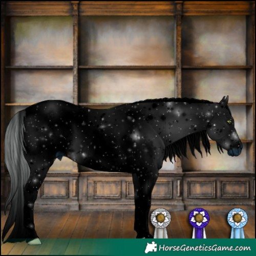 Horse Color:ERROR: UNKNOWN ANOMALY