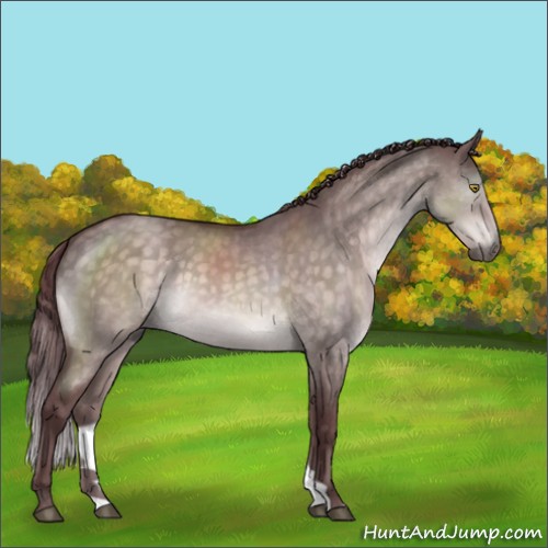 Horse Color:Platinum Chocolate Brown Dun Brindle 