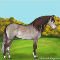 Horse Color:Platinum Chocolate Brown Dun Brindle 