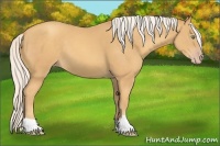 Horse Color:Silver Amber Cream Champagne 