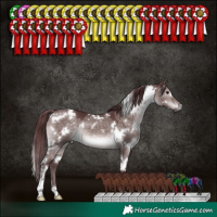 Horse Color:Platinum White Spotted Chocolate Brown Dun 