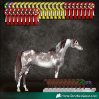 Horse Color:Platinum White Spotted Chocolate Brown Dun 