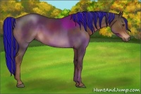 Horse Color:Painted Liver Chestnut