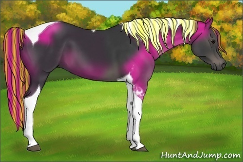 Horse Color:Painted Black Tobiano 
