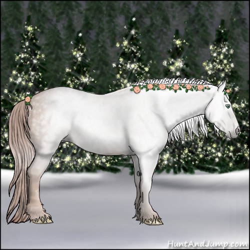 Horse Color:Gray Gold Champagne 