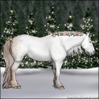 Horse Color:Gray Gold Champagne 