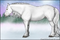 Horse Color:Gray Red Dun Roan 