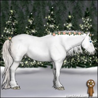 Horse Color:Gray Silver Classic Cream Champagne Pearl Splash Tobiano Frame Rabicano