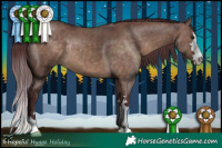 Horse Color:Chocolate Brown Dun 