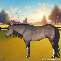 Horse Color:Platinum Brown 