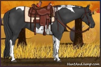 Horse Color:Black Tobiano 